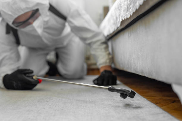 Professional Bed Bug Control technician working in Dixmoor, IL
