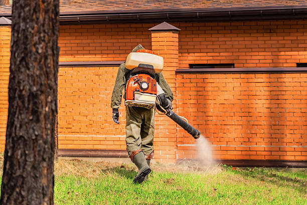 Trusted Rodent Control service in Dixmoor, IL - Nex Pest Control